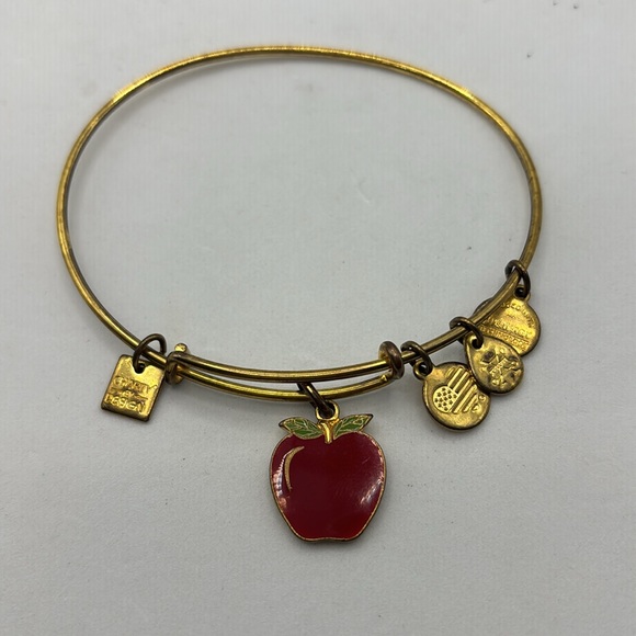 Alex and Ani charm bangle bracelets stretch 5 different colors and wear - Picture 5 of 16